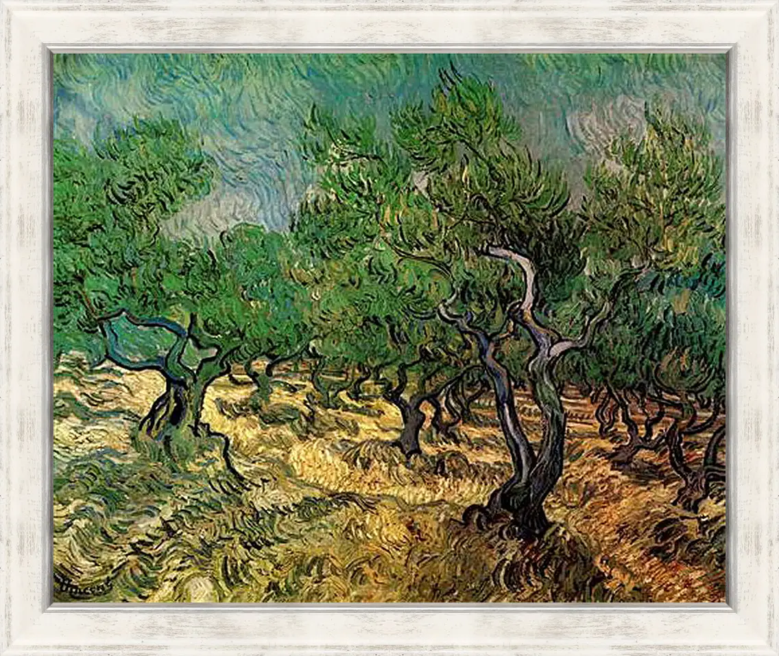 Картина в раме - Olive Grove 2. Винсент Ван Гог