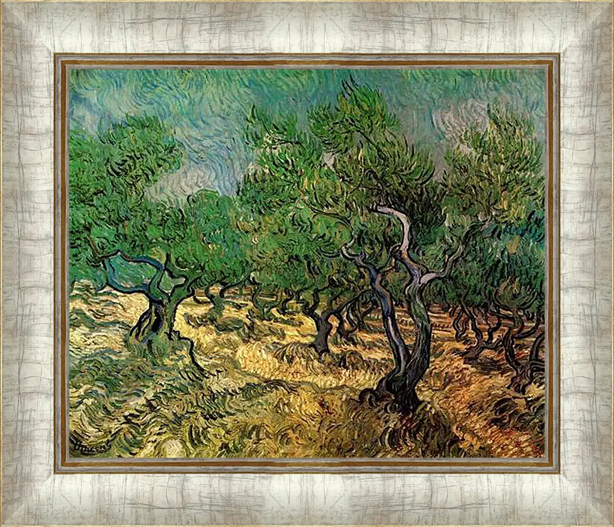 Картина в раме - Olive Grove 2. Винсент Ван Гог
