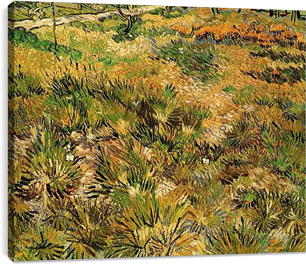 Постер и плакат - Meadow in the Garden of Saint-Paul Hospital. Винсент Ван Гог