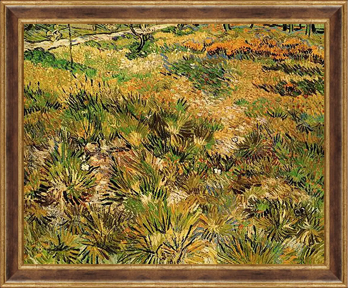 Картина в раме - Meadow in the Garden of Saint-Paul Hospital. Винсент Ван Гог
