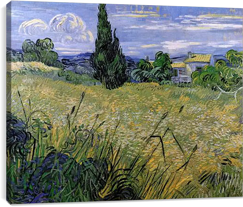 Постер и плакат - Green Wheat Field with Cypress. Винсент Ван Гог