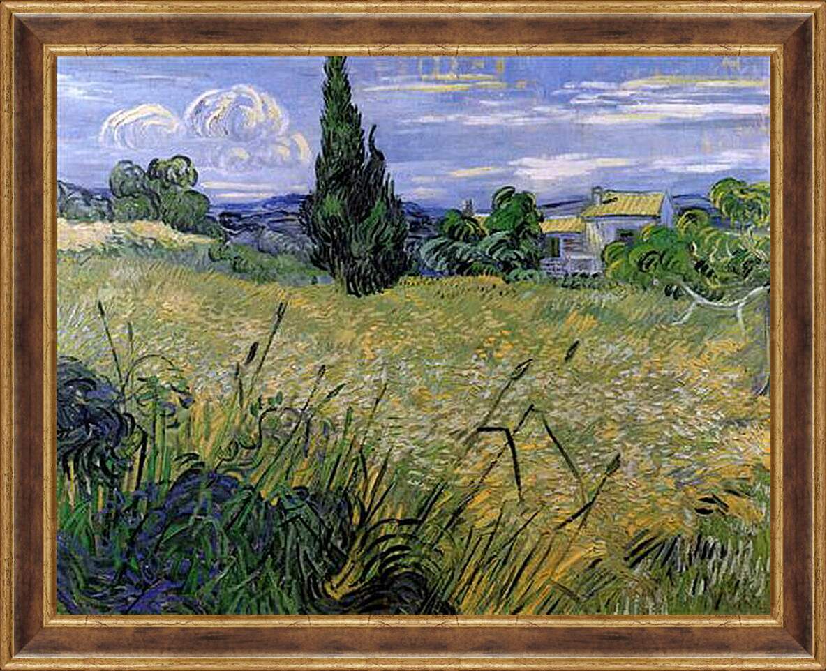 Картина в раме - Green Wheat Field with Cypress. Винсент Ван Гог
