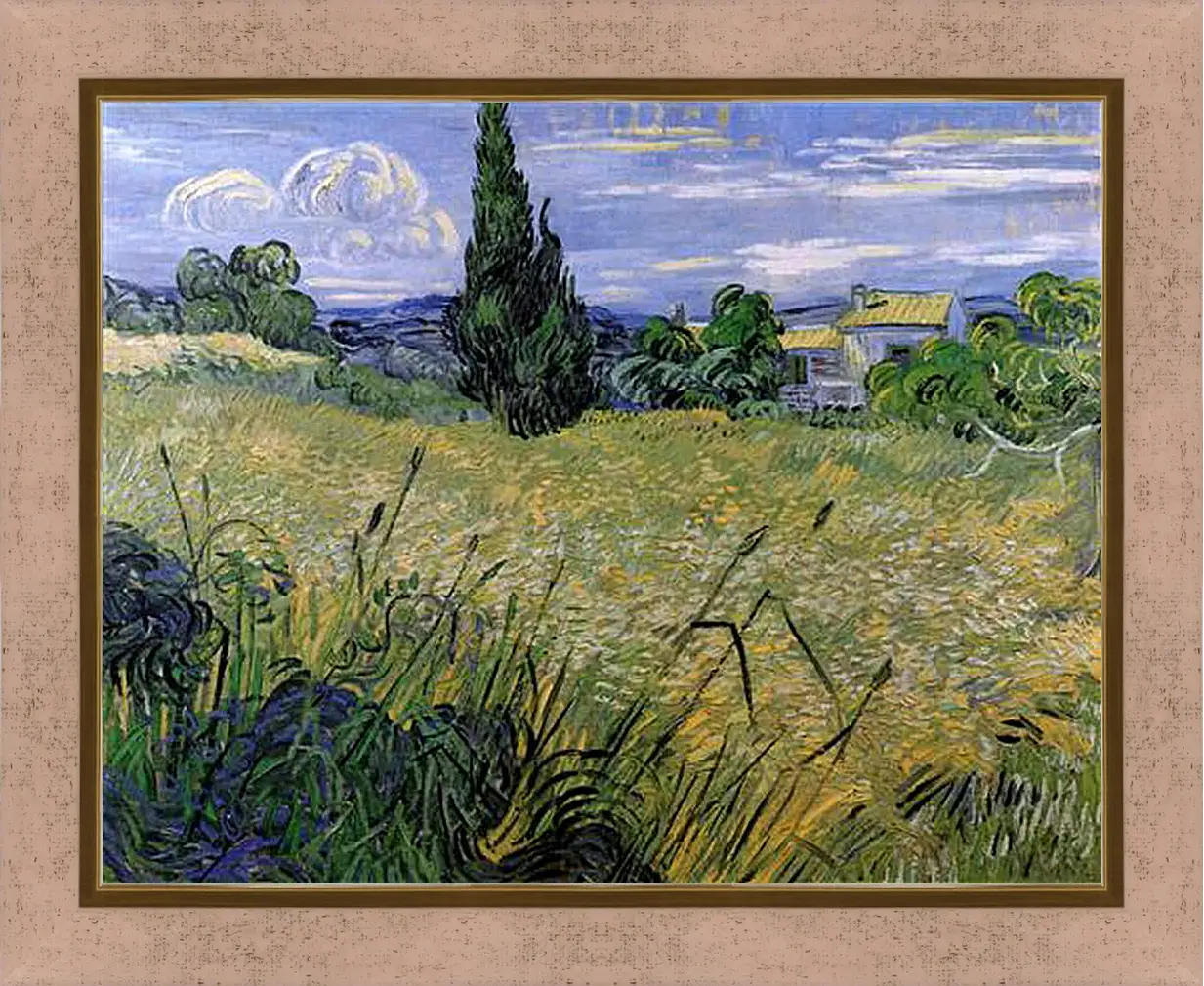 Картина в раме - Green Wheat Field with Cypress. Винсент Ван Гог