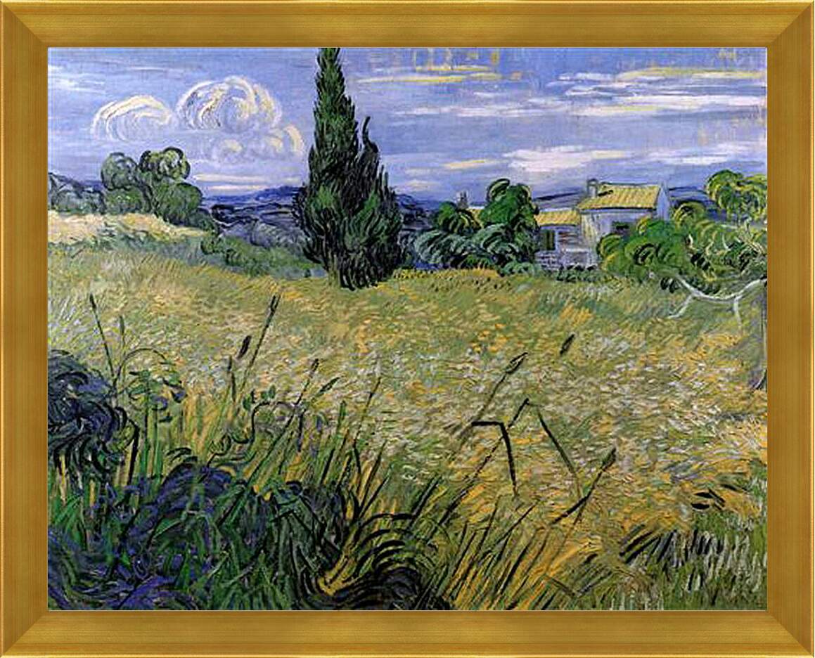 Картина в раме - Green Wheat Field with Cypress. Винсент Ван Гог