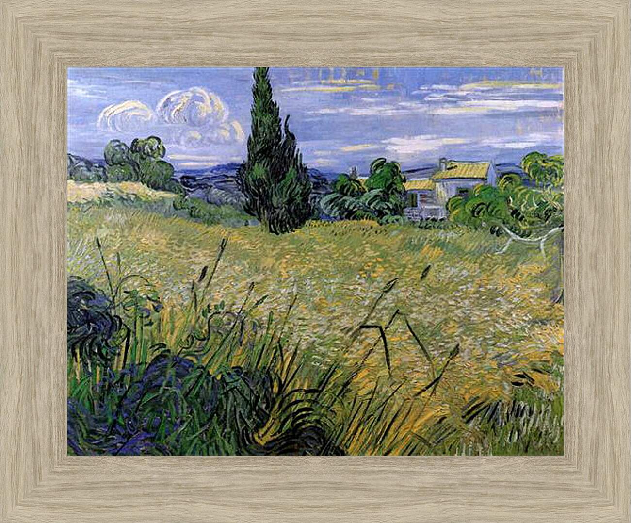 Картина в раме - Green Wheat Field with Cypress. Винсент Ван Гог
