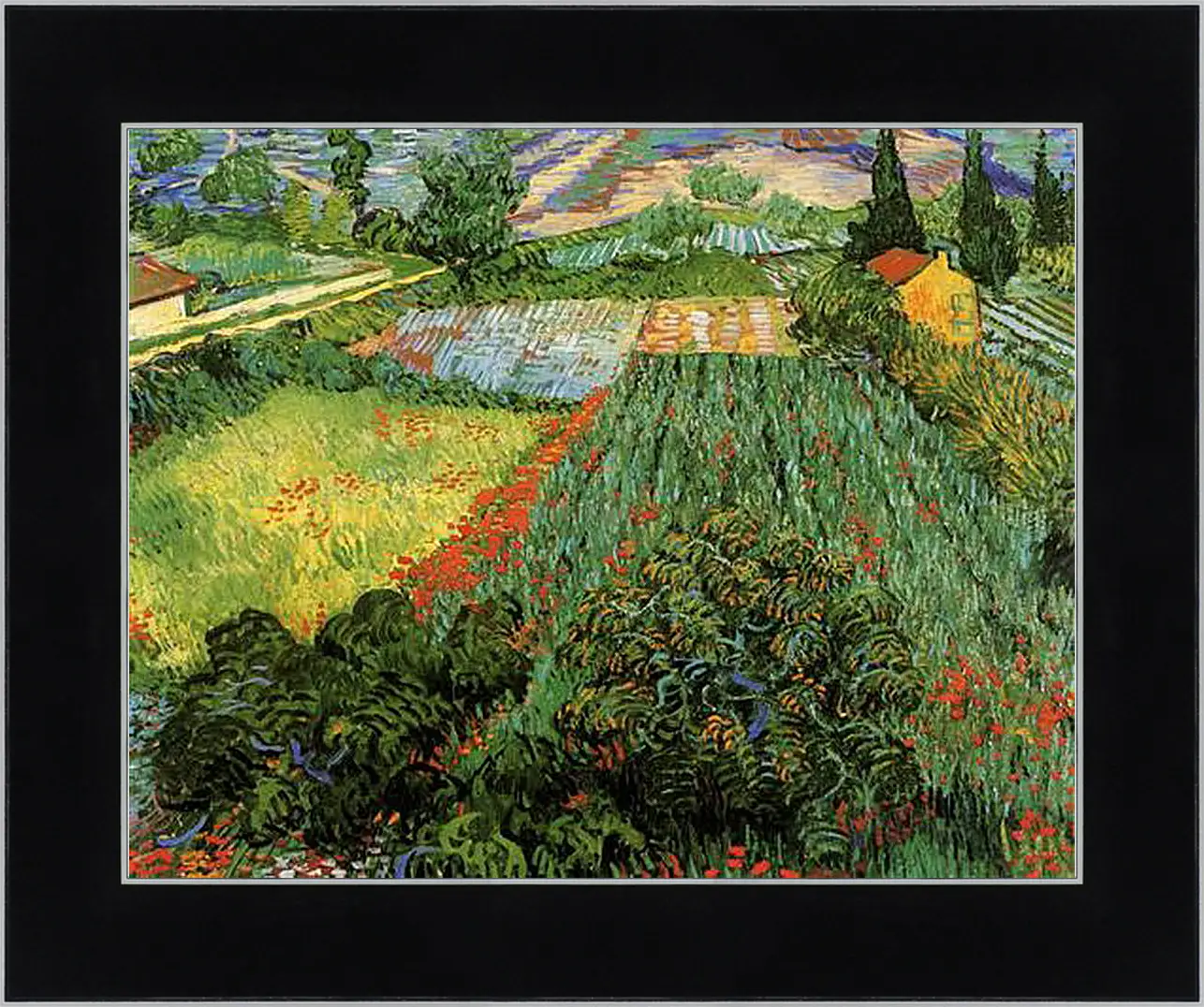Картина в раме - Field with Poppies. Винсент Ван Гог