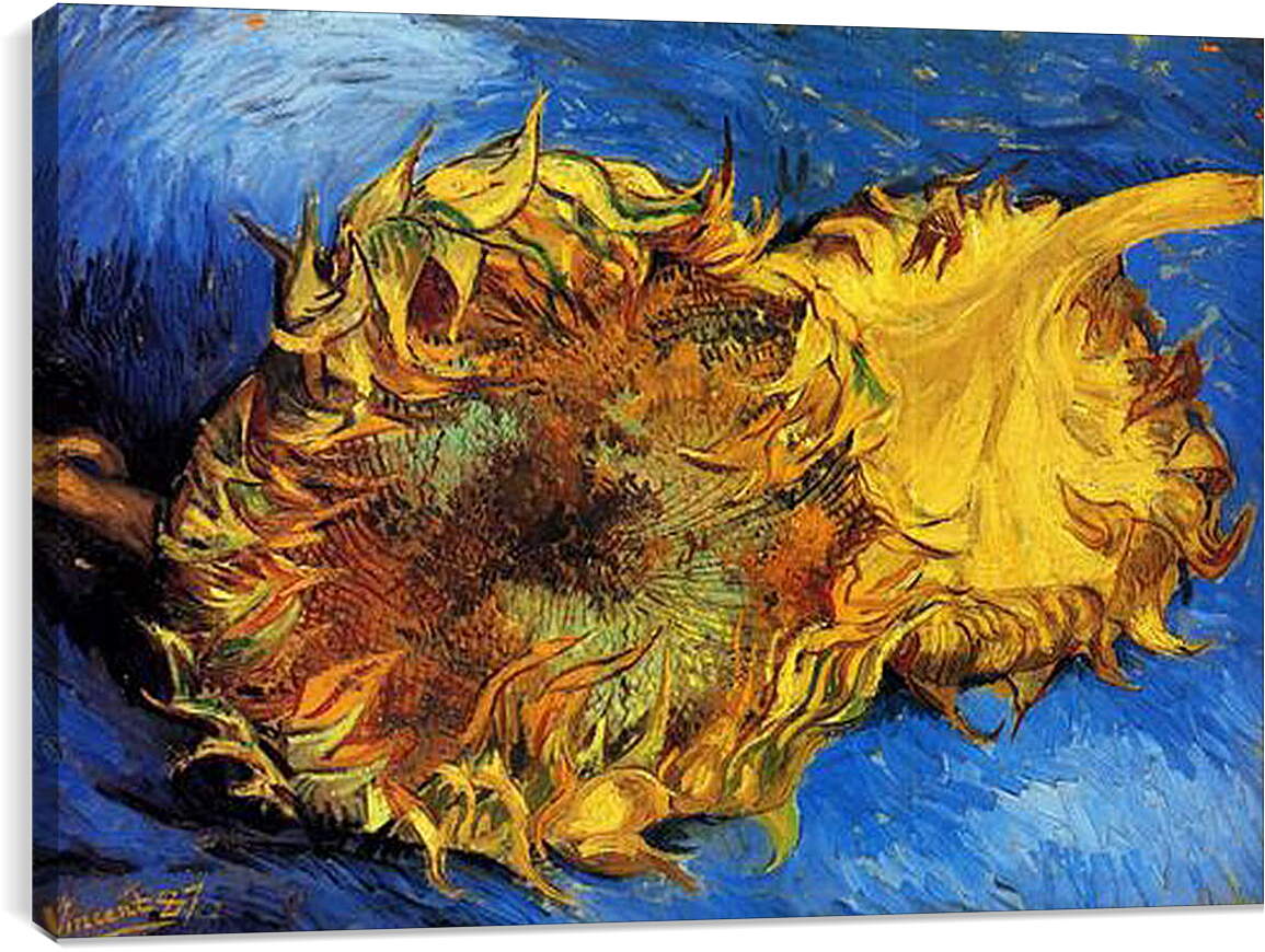 Постер и плакат - Two Cut Sunflowers 3. Винсент Ван Гог