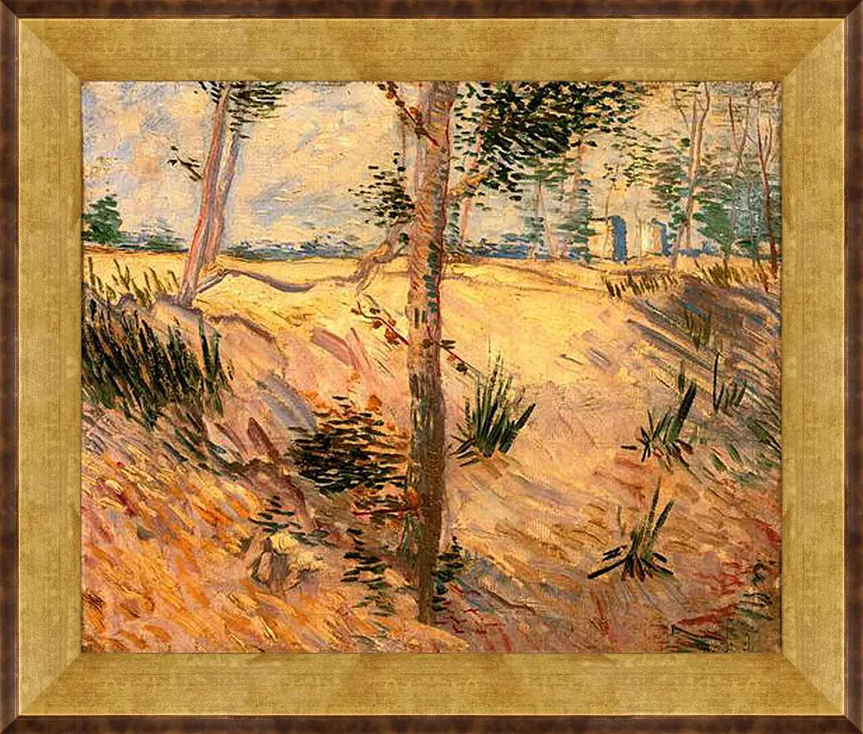 Картина в раме - Trees in a Field on a Sunny Day. Винсент Ван Гог