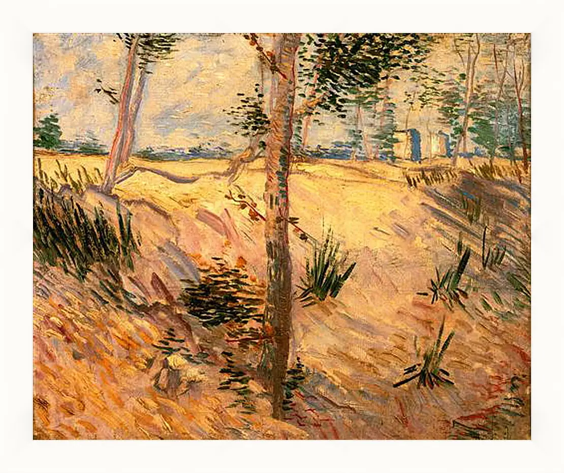 Картина в раме - Trees in a Field on a Sunny Day. Винсент Ван Гог