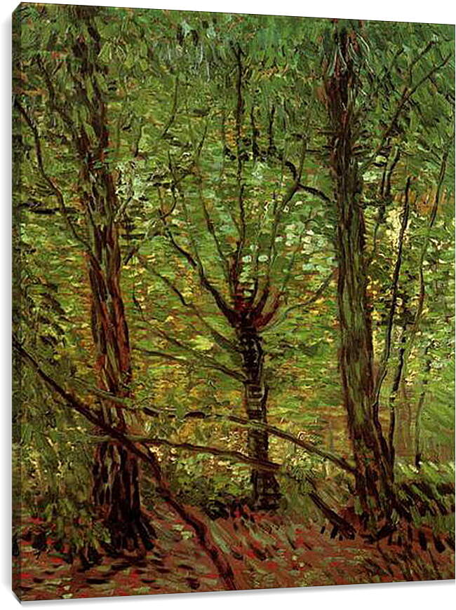 Постер и плакат - Trees and Undergrowth. Винсент Ван Гог
