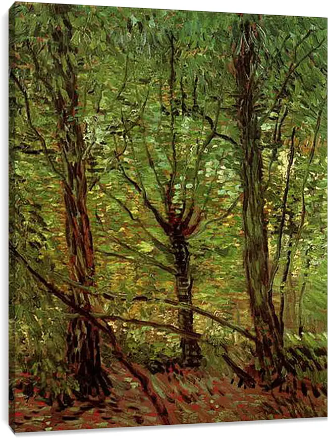 Постер и плакат - Trees and Undergrowth. Винсент Ван Гог