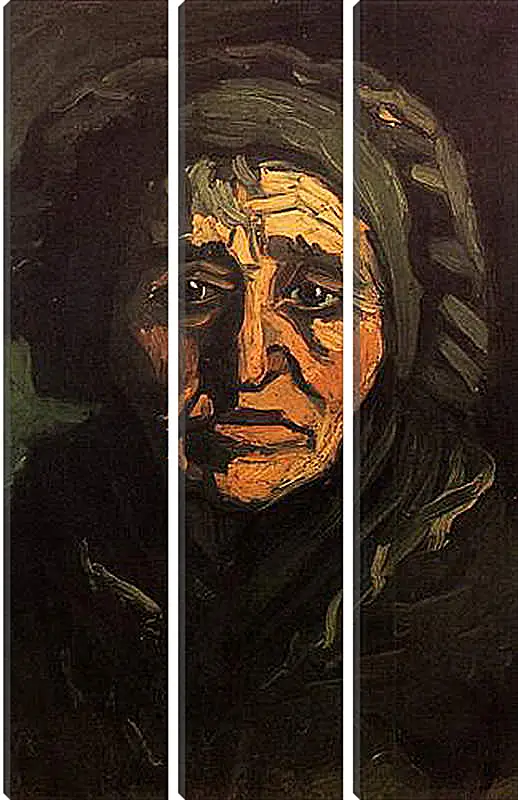 Модульная картина - Head of a Peasant Woman with Greenish Lace Cap. Винсент Ван Гог