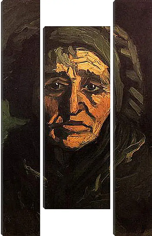 Модульная картина - Head of a Peasant Woman with Greenish Lace Cap. Винсент Ван Гог