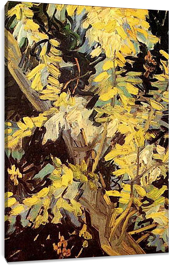 Постер и плакат - Blossoming Acacia Branches. Винсент Ван Гог