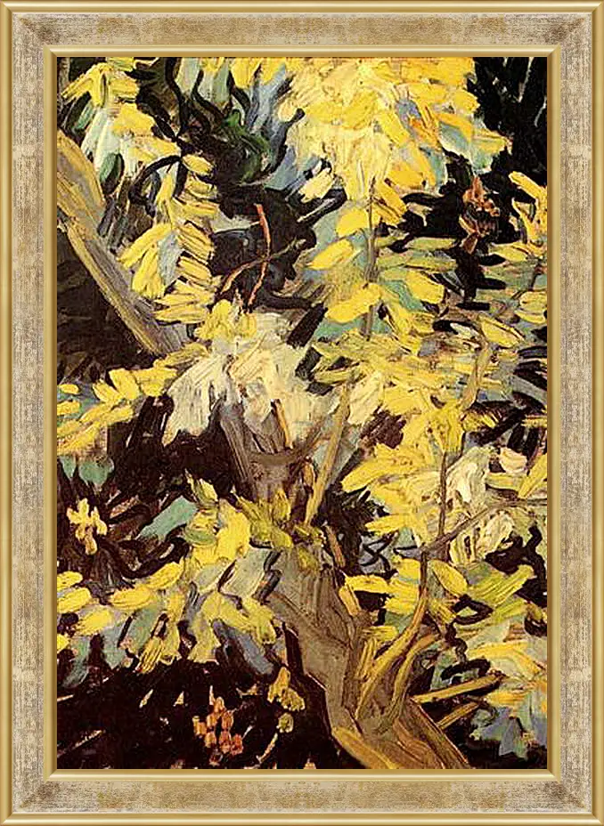 Картина в раме - Blossoming Acacia Branches. Винсент Ван Гог