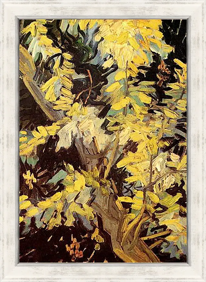 Картина в раме - Blossoming Acacia Branches. Винсент Ван Гог