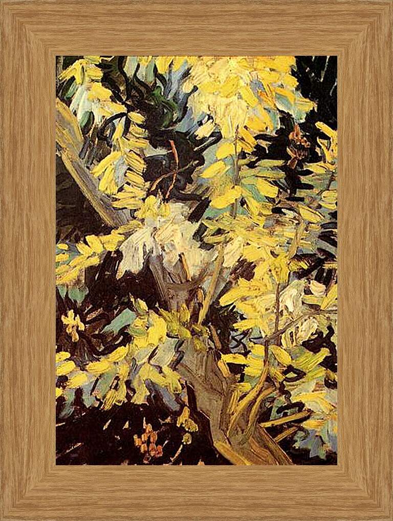 Картина в раме - Blossoming Acacia Branches. Винсент Ван Гог