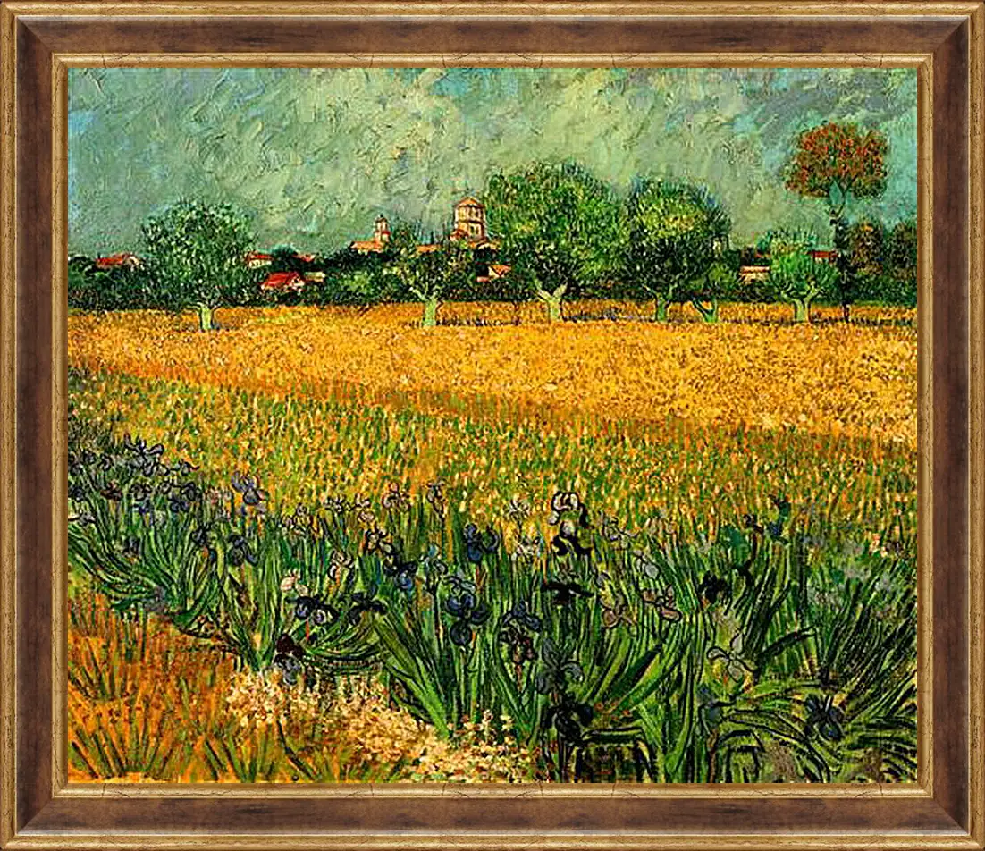 Картина в раме - View of Arles with Irises in the Foreground. Винсент Ван Гог