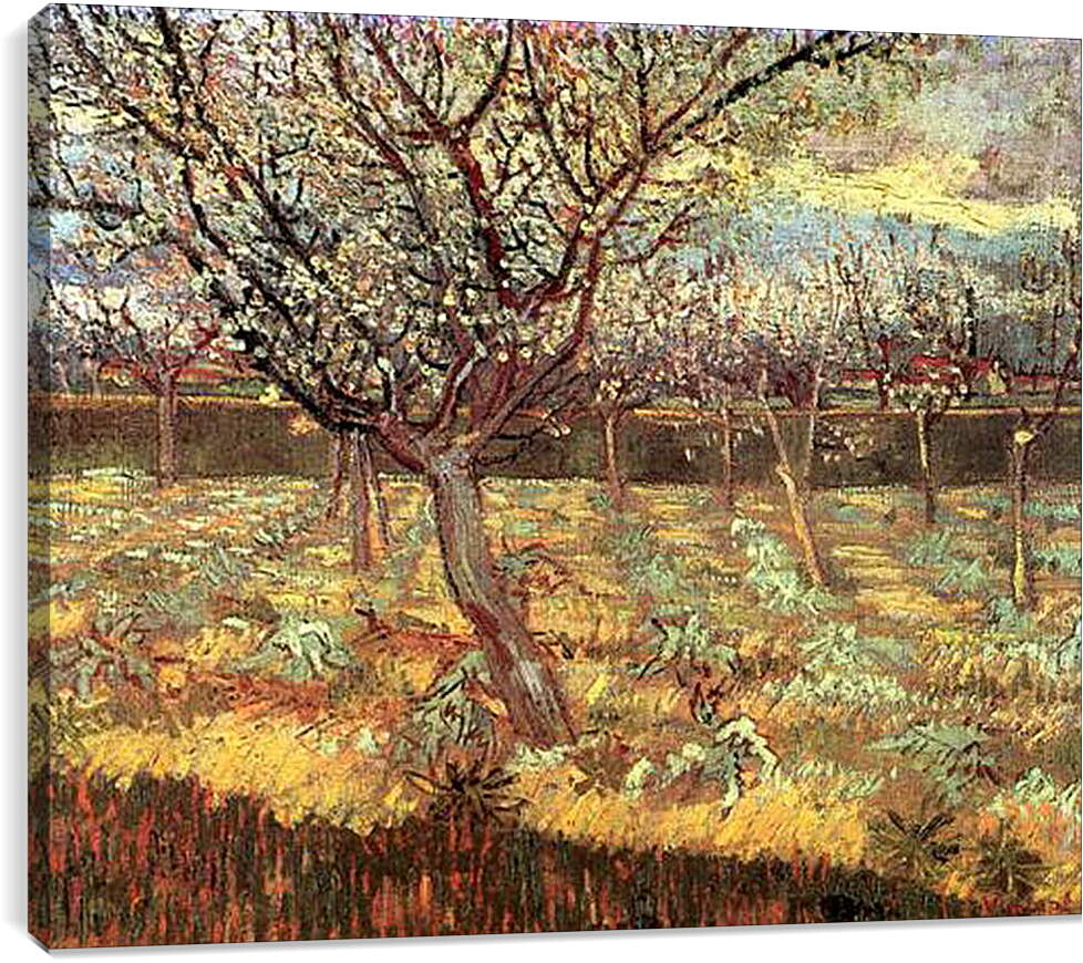 Постер и плакат - Apricot Trees in Blossom 2. Винсент Ван Гог