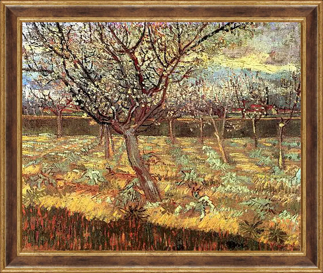 Картина в раме - Apricot Trees in Blossom 2. Винсент Ван Гог