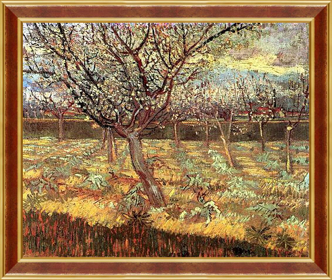 Картина в раме - Apricot Trees in Blossom 2. Винсент Ван Гог