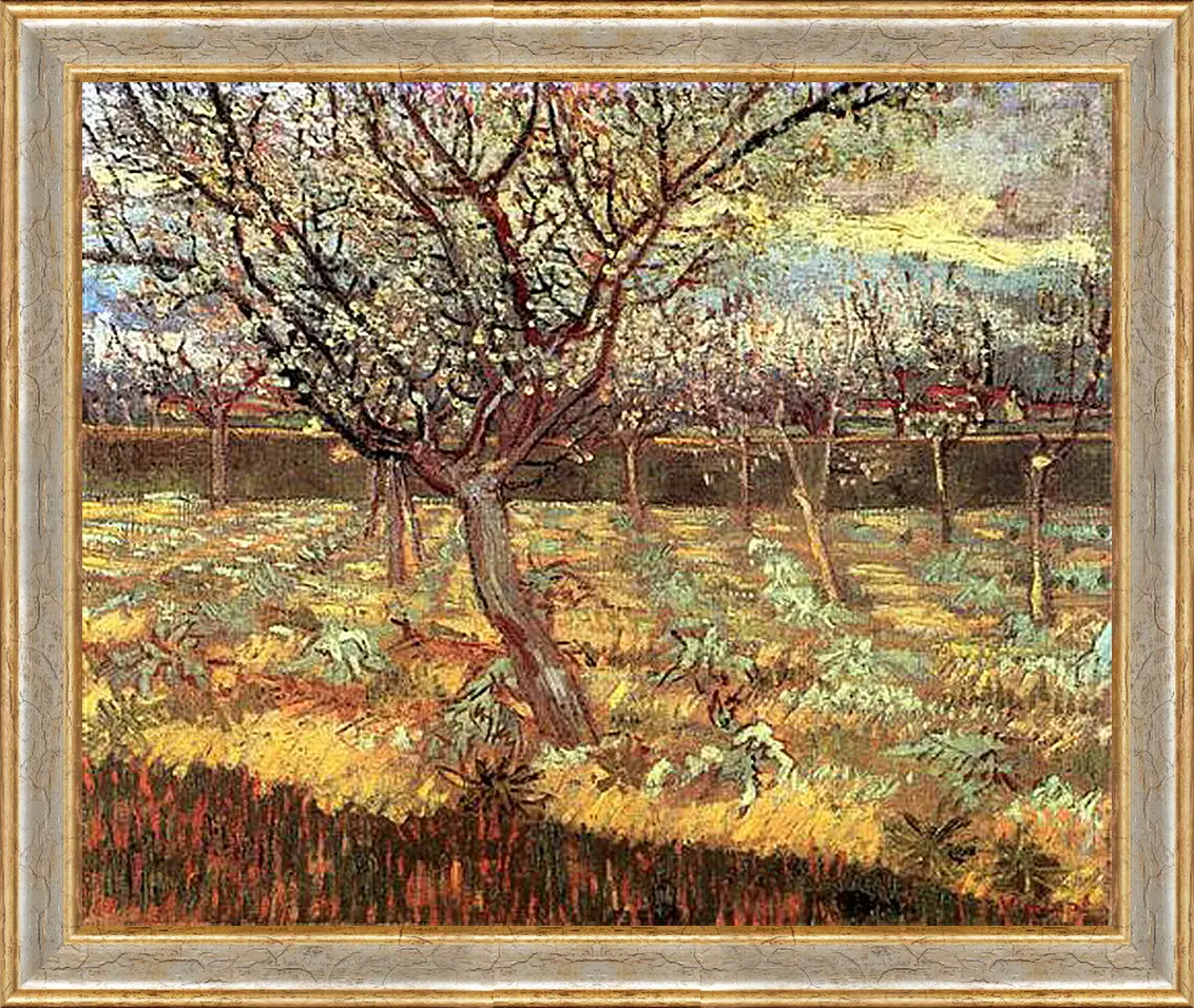 Картина в раме - Apricot Trees in Blossom 2. Винсент Ван Гог