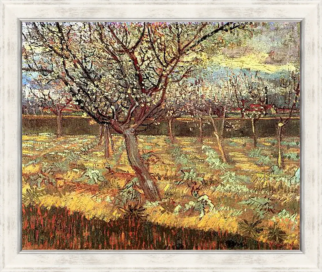 Картина в раме - Apricot Trees in Blossom 2. Винсент Ван Гог