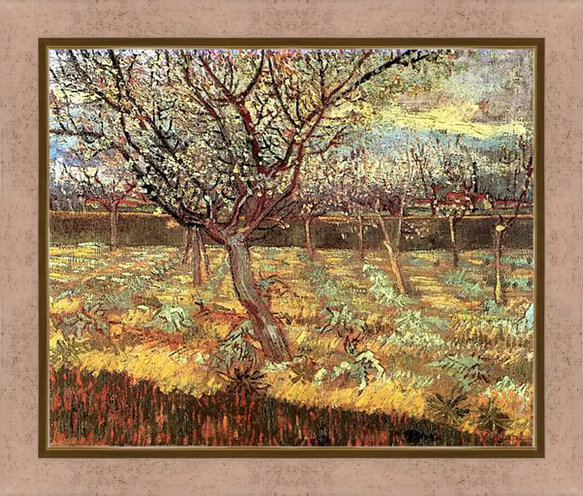 Картина в раме - Apricot Trees in Blossom 2. Винсент Ван Гог