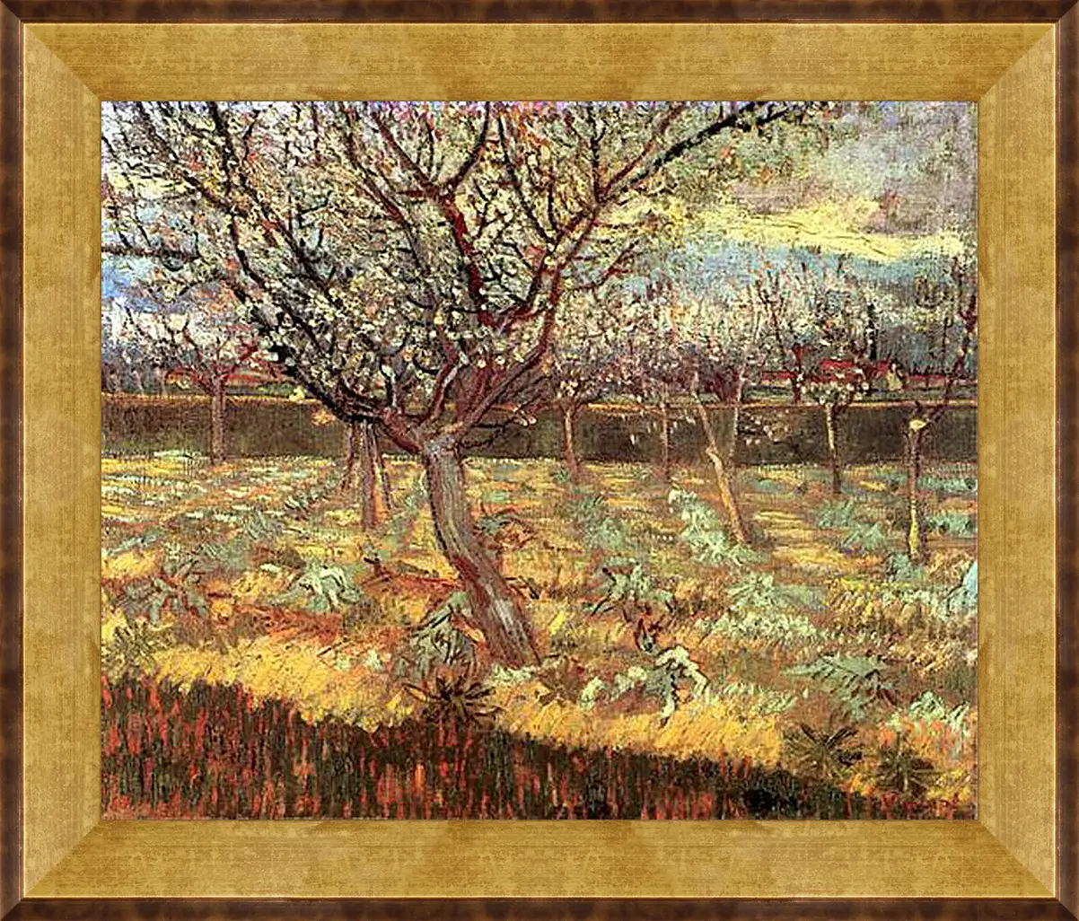 Картина в раме - Apricot Trees in Blossom 2. Винсент Ван Гог