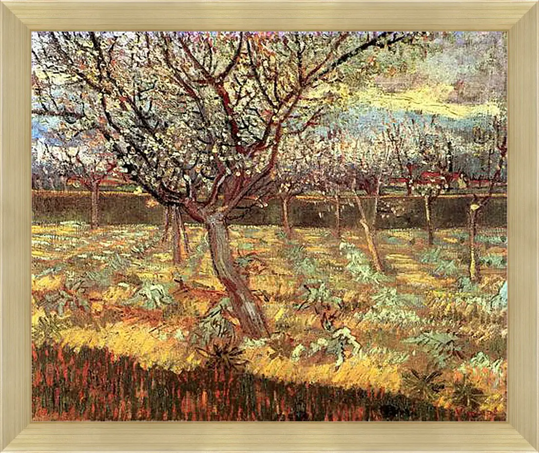 Картина в раме - Apricot Trees in Blossom 2. Винсент Ван Гог