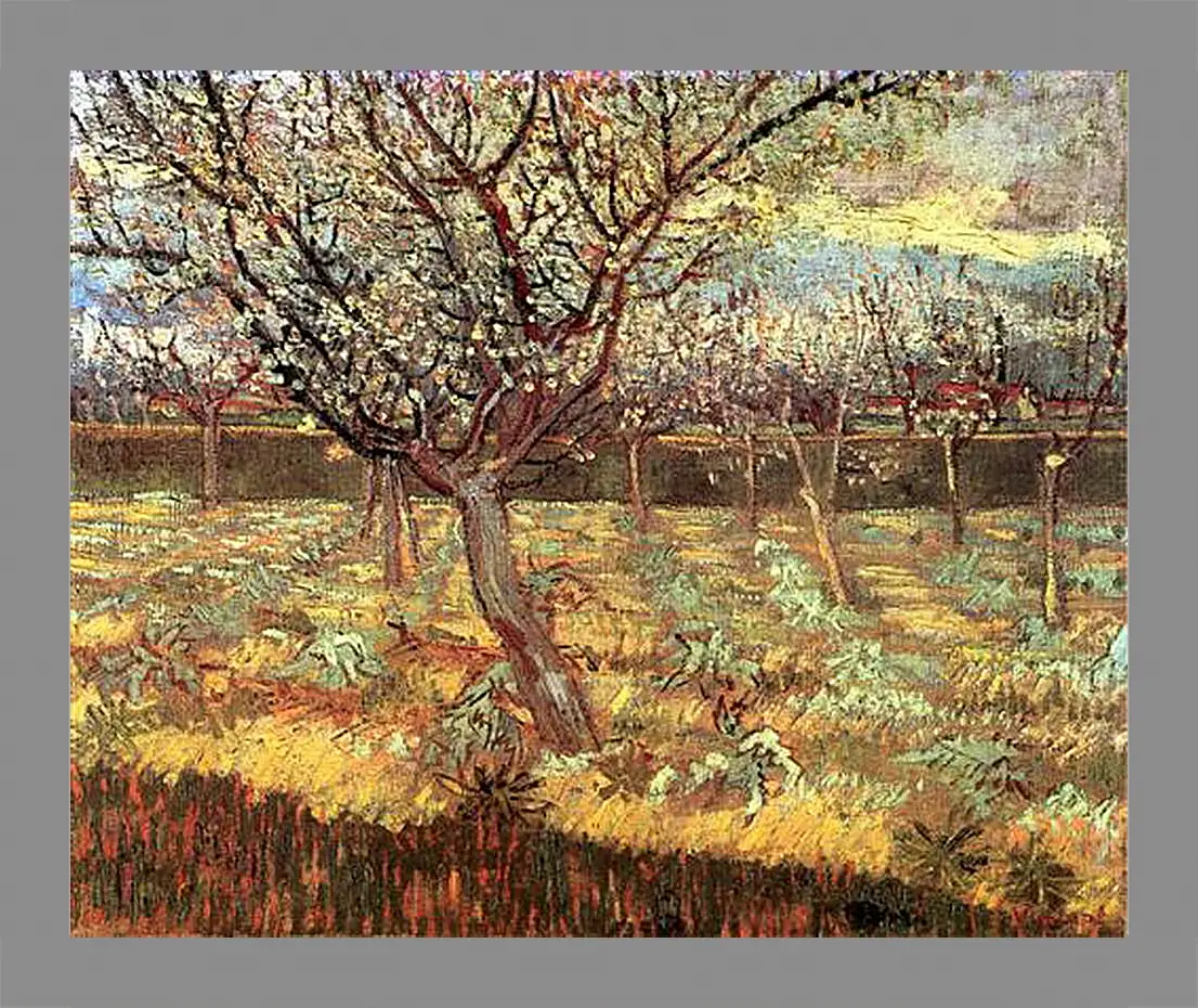 Картина в раме - Apricot Trees in Blossom 2. Винсент Ван Гог