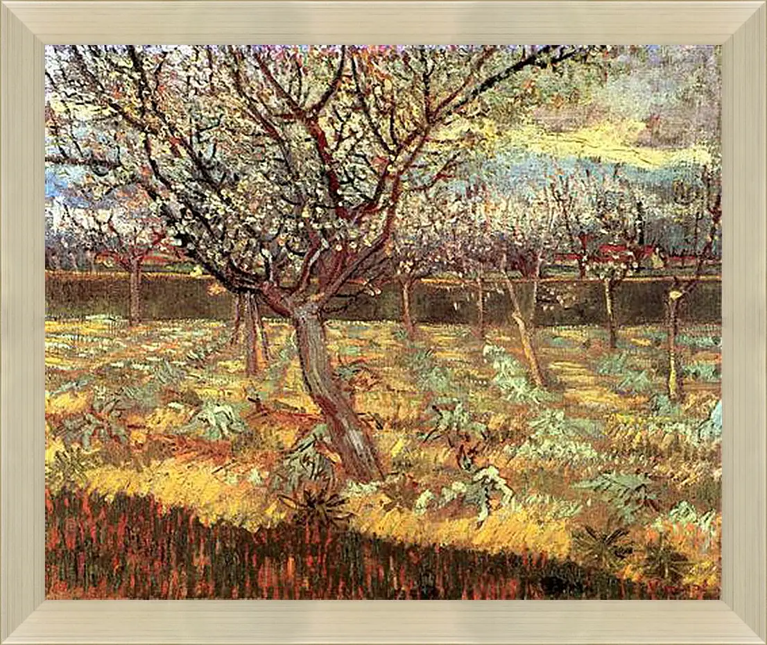 Картина в раме - Apricot Trees in Blossom 2. Винсент Ван Гог