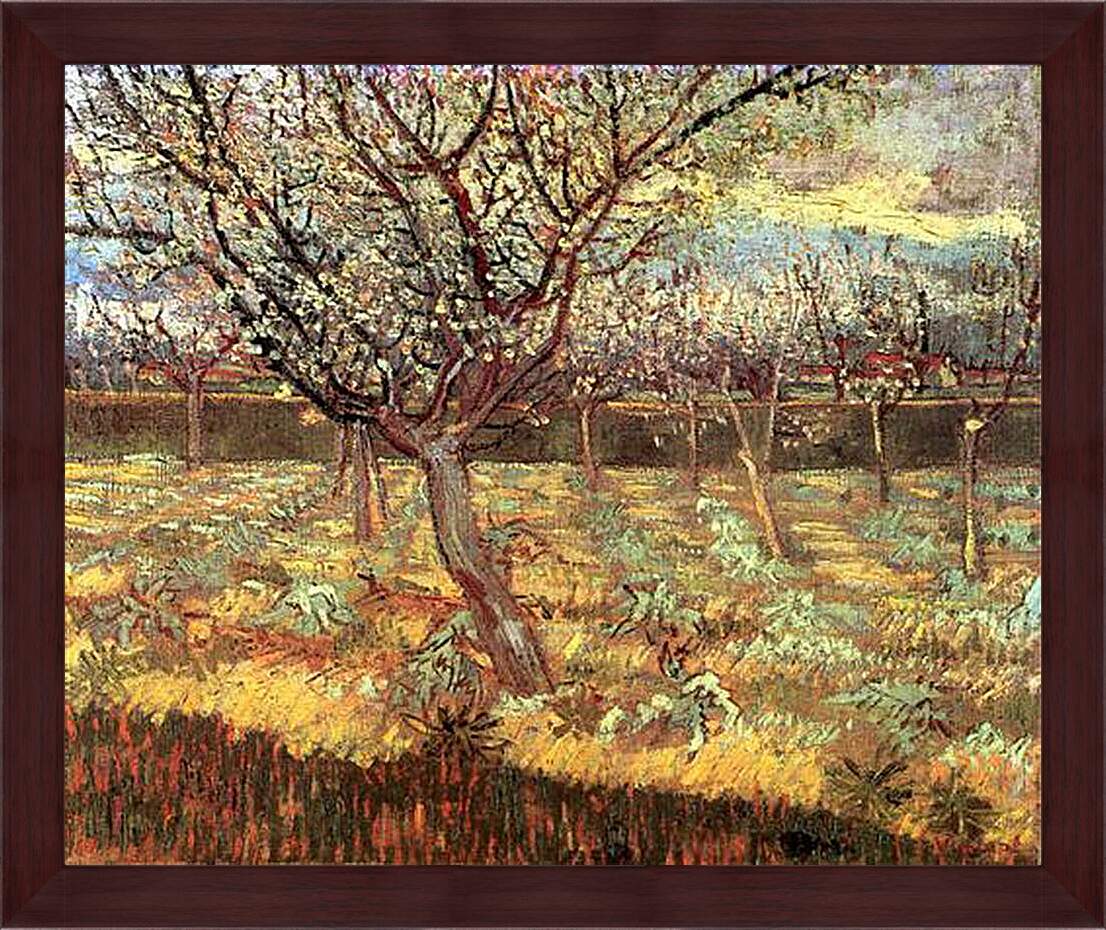 Картина в раме - Apricot Trees in Blossom 2. Винсент Ван Гог