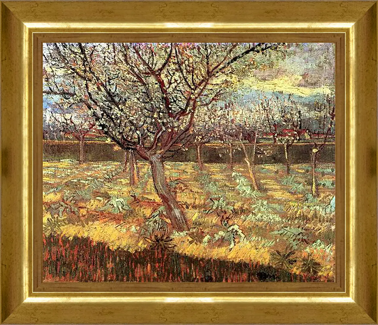 Картина в раме - Apricot Trees in Blossom 2. Винсент Ван Гог