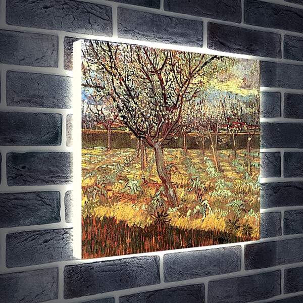 Лайтбокс световая панель - Apricot Trees in Blossom 2. Винсент Ван Гог