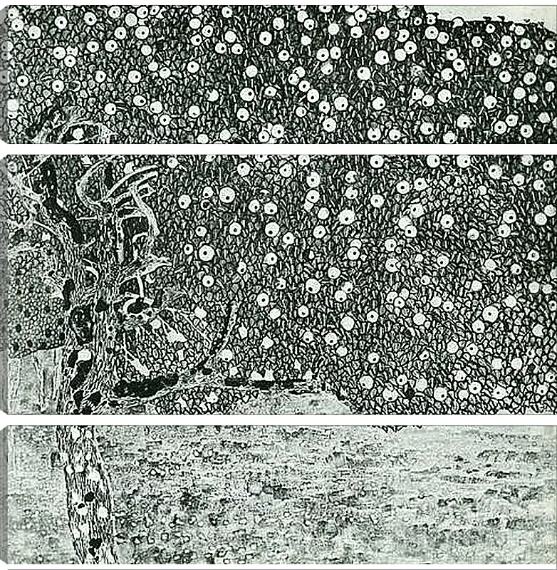 Модульная картина - Goldener Apfelbaum. Густав Климт