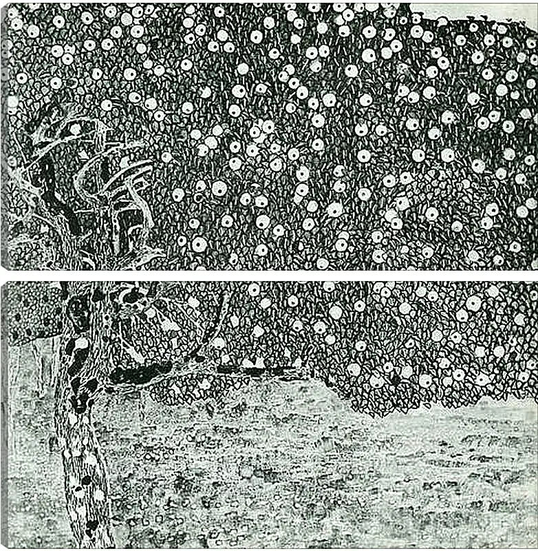Модульная картина - Goldener Apfelbaum. Густав Климт
