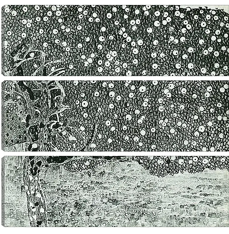 Модульная картина - Goldener Apfelbaum. Густав Климт