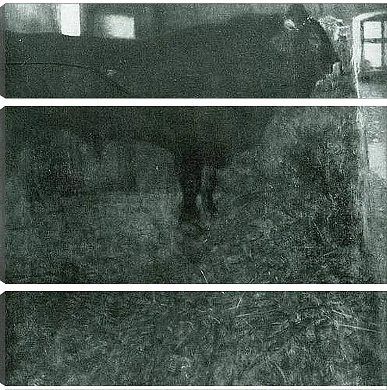 Модульная картина - Der schwarze Stier. Густав Климт