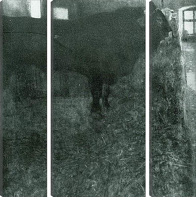 Модульная картина - Der schwarze Stier. Густав Климт