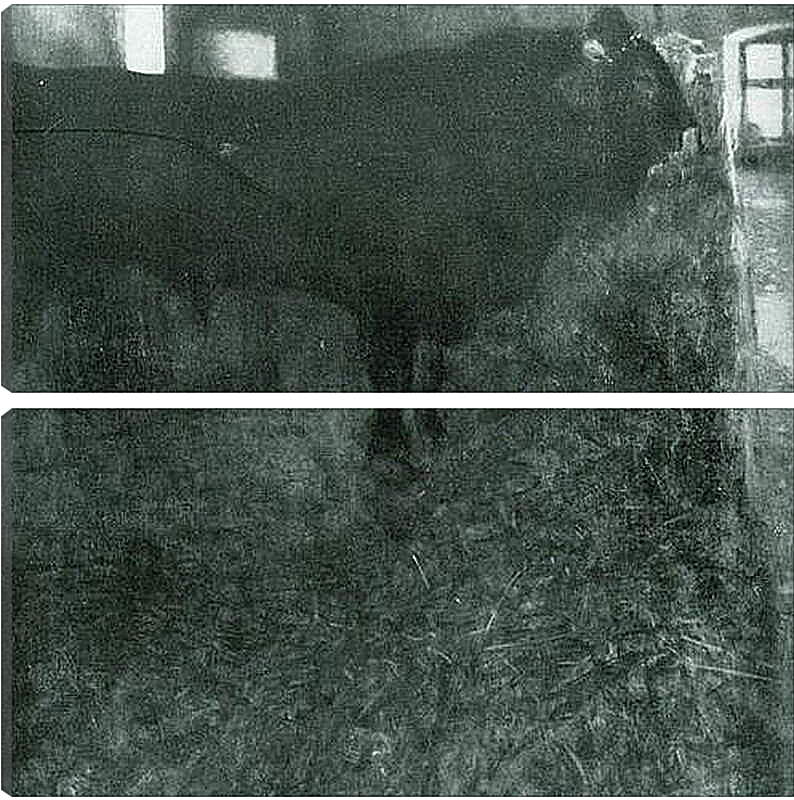 Модульная картина - Der schwarze Stier. Густав Климт