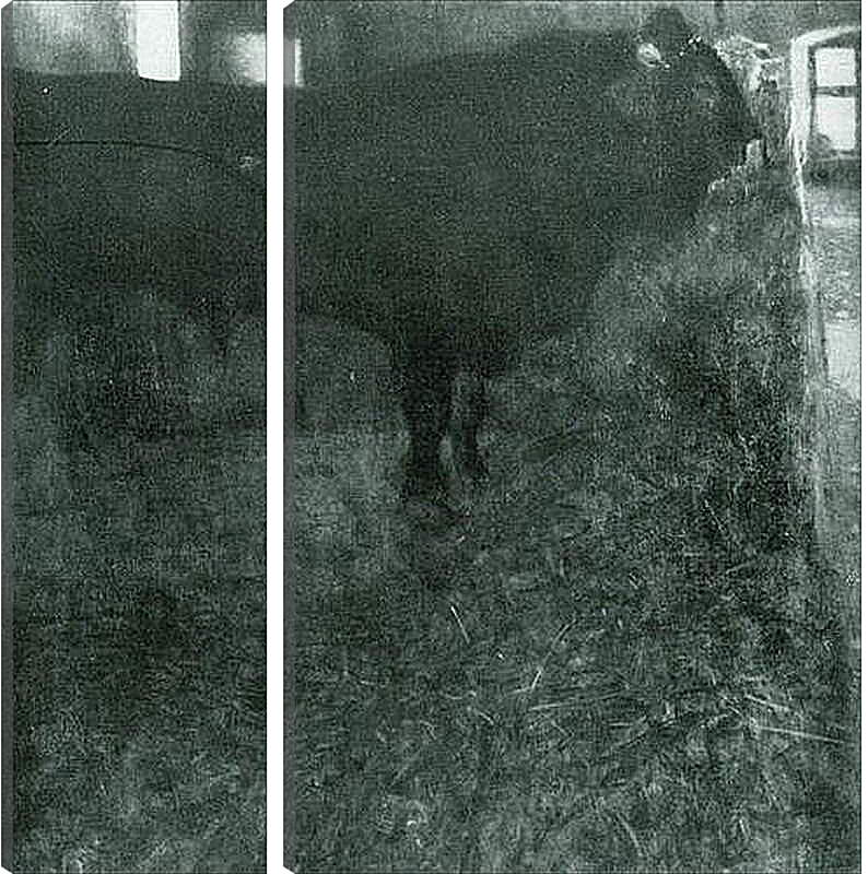 Модульная картина - Der schwarze Stier. Густав Климт
