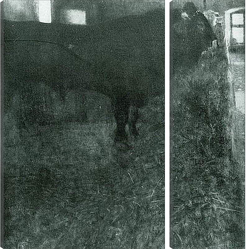 Модульная картина - Der schwarze Stier. Густав Климт

