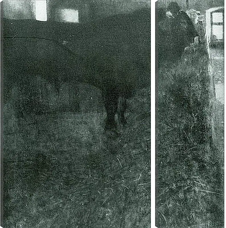 Модульная картина - Der schwarze Stier. Густав Климт