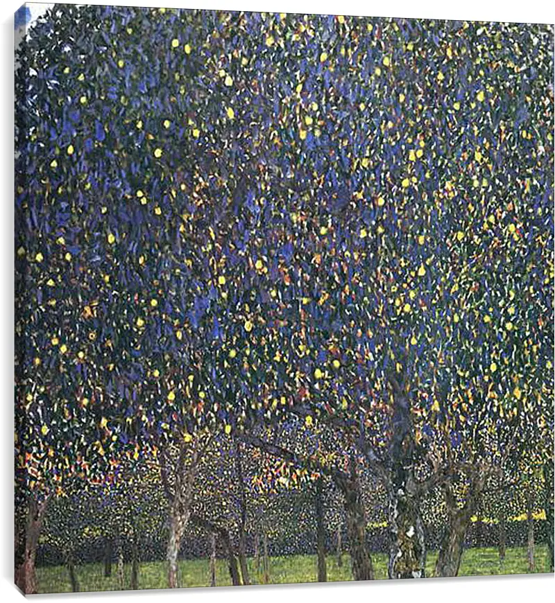 Постер и плакат - Birnbaum. Густав Климт