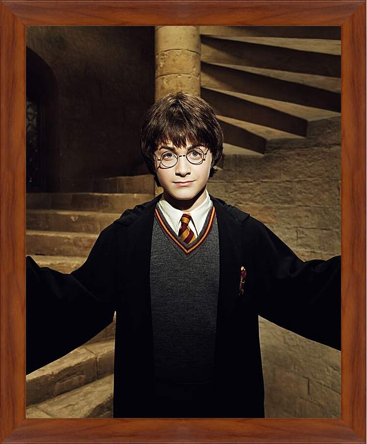 Картина в раме - Гарри Поттер и Тайная комната