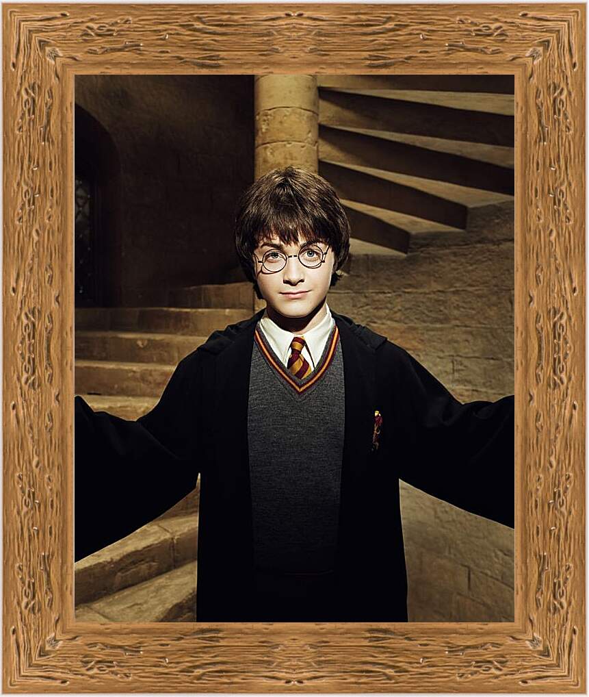 Картина в раме - Гарри Поттер и Тайная комната
