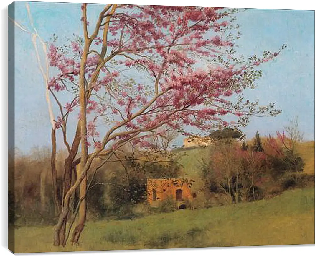 Постер и плакат - Blossoming Red Almond, study. Джон Уильям Годвард