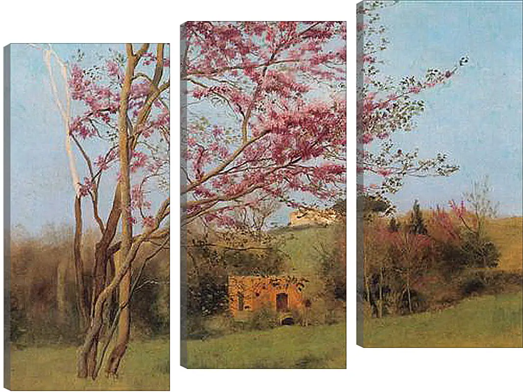 Модульная картина - Blossoming Red Almond, study. Джон Уильям Годвард