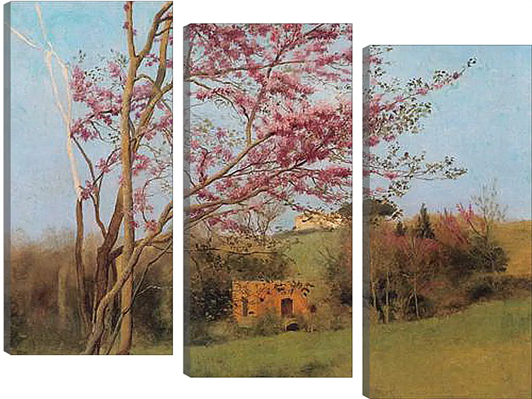 Модульная картина - Blossoming Red Almond, study. Джон Уильям Годвард